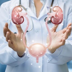 urologia Urologia